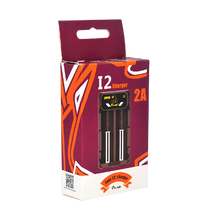 Load image into Gallery viewer, Cylaid Fast I2 battery charger